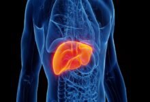 العمل الليلي