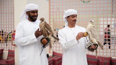 العين التراثي