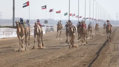 "المهرجان الختامي" السنوي لسباقات الهجن العربية الأصيلة ينطلق 26 فبراير 2 "المهرجان الختامي" السنوي لسباقات الهجن العربية الأصيلة ينطلق 26 فبراير