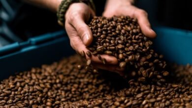 القهوة تحت ضغط التغير المناخي