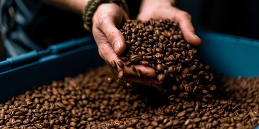 القهوة تحت ضغط التغير المناخي 1 القهوة تحت ضغط التغير المناخي