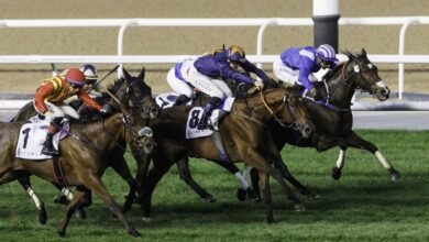 115 خيلاً تتنافس في الأمسية الـ 12 لكرنفال سباقات دبي