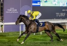 "مضمار أبوظبي" للسباق يتوج الفائزين في السباق العاشر للخيول