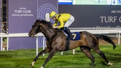 "مضمار أبوظبي" للسباق يتوج الفائزين في السباق العاشر للخيول