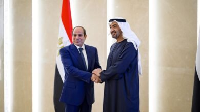 استقبله رئيس الدولة.. الرئيس المصري يصل البلاد