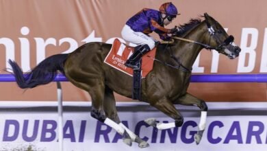 سباقات قوية في "الإمارات سوبر ساترداي" قبل 4 أسابيع من كأس دبي العالمي للخيول