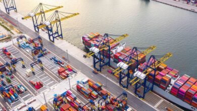 الإمارات ترسخ مكانتها كمحور عالمي لسلاسل الإمداد وتدعم الأمن الغذائي إقليميا ودوليا