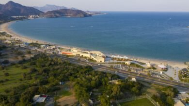 "الشارقة" تشارك في معرض بورصة برلين الدولي للسياحة والسفر 2026 2 "الشارقة" تشارك في معرض بورصة برلين الدولي للسياحة والسفر 2026