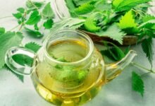 الشاي الأخضر