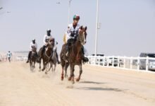 "الإمارات العالمية للقدرة" تعتمد برنامج "السباق المفتوح" وفعاليات "ألعاب الماسترز"