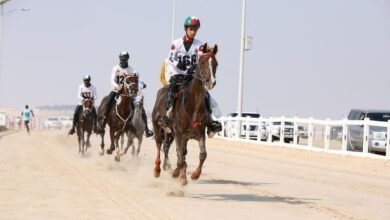 "الإمارات العالمية للقدرة" تعتمد برنامج "السباق المفتوح" وفعاليات "ألعاب الماسترز" 5 "الإمارات العالمية للقدرة" تعتمد برنامج "السباق المفتوح" وفعاليات "ألعاب الماسترز"