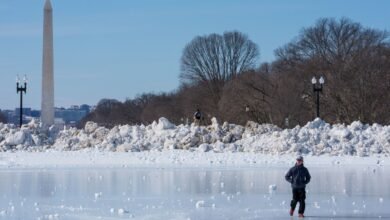 90 قتيلا حصيلة ضحايا العاصفة الجليدية في الولايات المتحدة الأمريكية 2 90 قتيلا حصيلة ضحايا العاصفة الجليدية في الولايات المتحدة الأمريكية