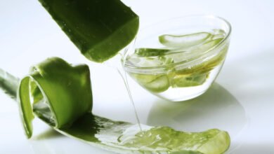 "الصبار".. مفتاح جديد لعلاج ألزهايمر 2 الصبار