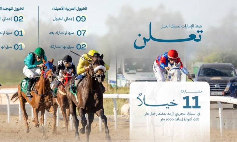 مضمار جبل علي بدبي يختتم السباق التجريبي الـ22 للخيول 7 مضمار جبل علي بدبي يختتم السباق التجريبي الـ22 للخيول
