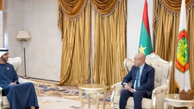 شخبوط بن نهيان يلتقي رئيس موريتانيا