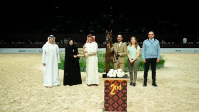 منافسات قوية في ثاني أيام "تايتل شو" أبوظبي لجمال الخيل العربية