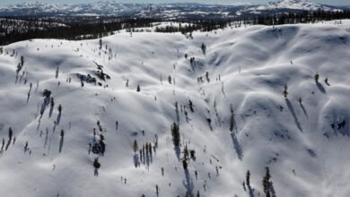 فقدان 10 متزلجين جراء انهيار جليدي في كاليفورنيا