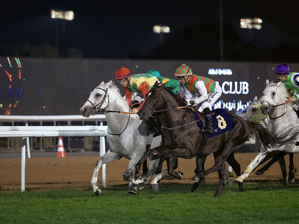 104 خيول تتنافس في السباق الـ11 على مضمار أبوظبي غدا 1 104 خيول تتنافس في السباق الـ11 على مضمار أبوظبي غدا