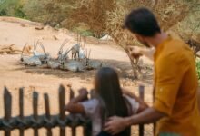 حديقة الحيوانات بالعين