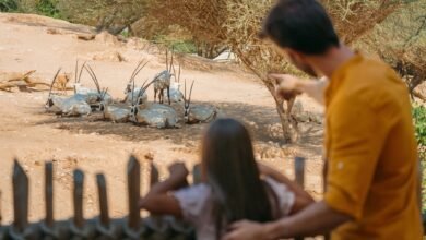 حديقة الحيوانات بالعين