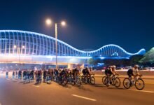 سعيد حسن وعائشة فولاذ