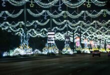 "بلدية أبوظبي"