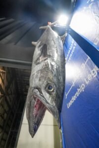 "دبي البحري" يختتم بطولة دبي لصيد الأسماك بنجاح كبير وتفوق إماراتي محمد المري: التبرع بـ 400 كلج إجمالي الكميات إلى "بيت الخير"