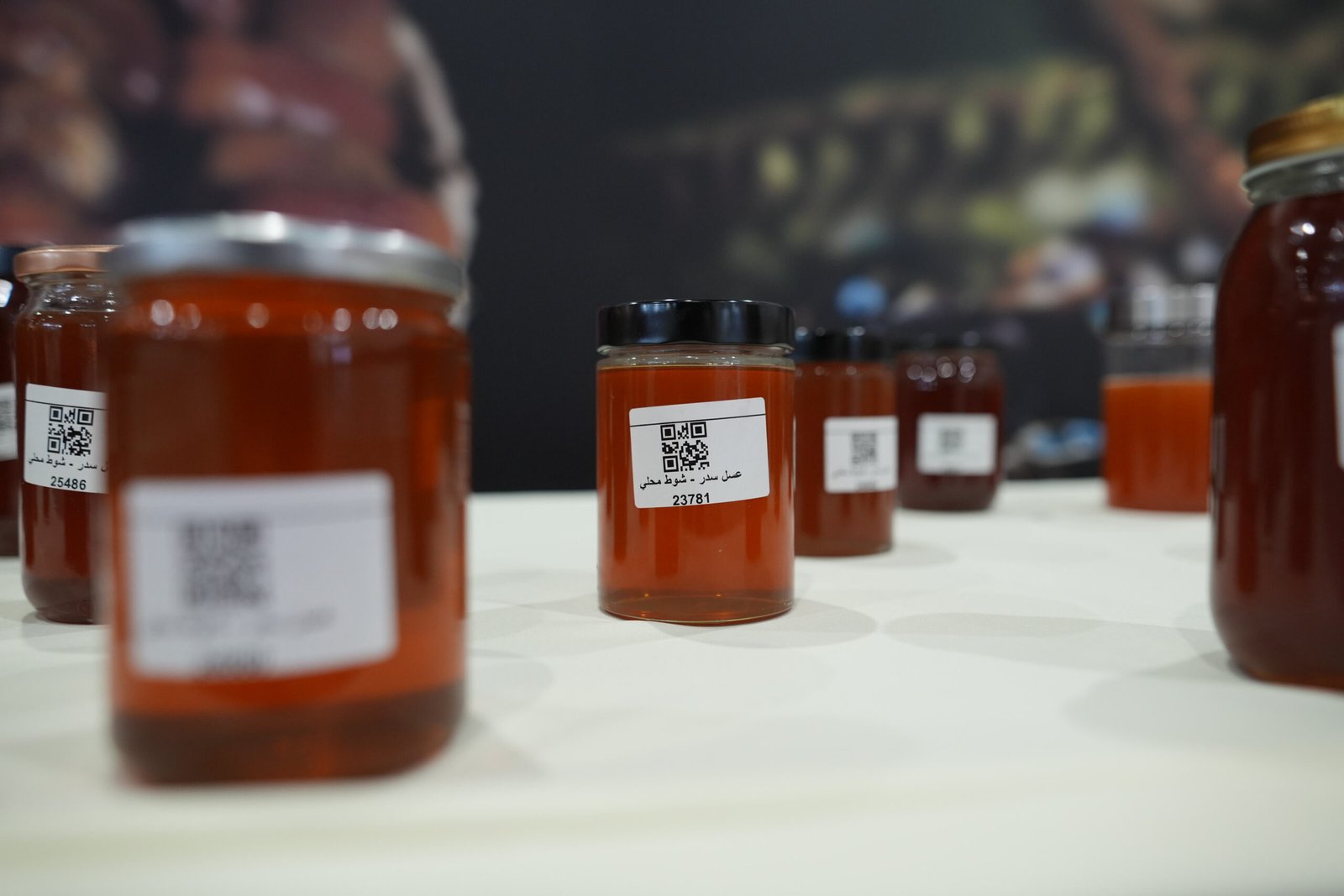 إعلان نتائج مسابقات النخبة والتغليف في "العين التراثي" 1 إعلان نتائج مسابقات النخبة والتغليف في "العين التراثي"