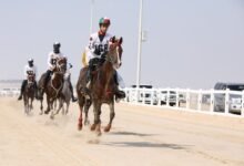 سباق كأس زايد بن منصور بن زايد للقدرة ينطلق غدا بالوثبة