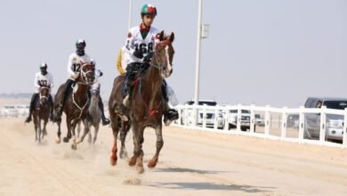 سباق كأس زايد بن منصور بن زايد للقدرة ينطلق غدا بالوثبة 3 سباق كأس زايد بن منصور بن زايد للقدرة ينطلق غدا بالوثبة