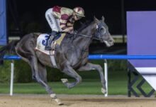 "براذرلي لوف" و"النيير" يخطفان الأضواء في الأمسية الـ13 من كرنفال سباقات دبي