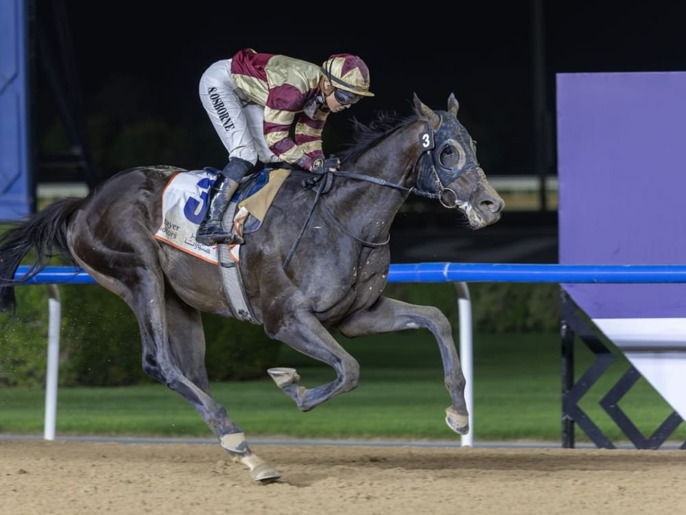 "براذرلي لوف" و"النيير" يخطفان الأضواء في الأمسية الـ13 من كرنفال سباقات دبي 1 "براذرلي لوف" و"النيير" يخطفان الأضواء في الأمسية الـ13 من كرنفال سباقات دبي