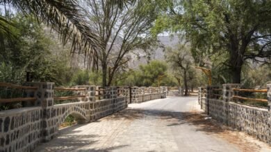 قرية قدفع بالفجيرة تنال شهادة الاعتراف الدولي من "الفاو"