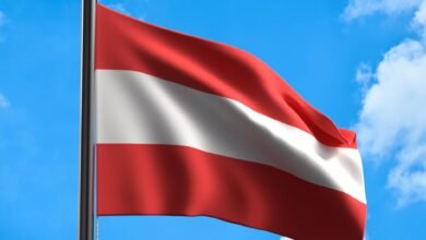 "كلاب آلية ذكية" تعزز عمل محطات توليد الكهرباء في النمسا