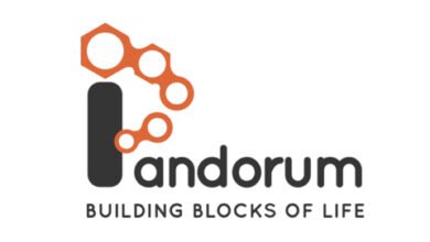 شركة Pandorum Technologies