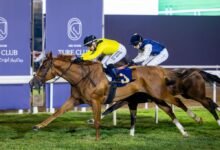 "نخبة الخيول" تتنافس على لقب سباق كأس أبوظبي الذهبي غدا