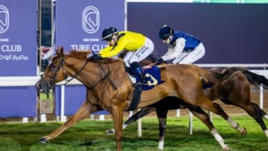 "نخبة الخيول" تتنافس على لقب سباق كأس أبوظبي الذهبي غدا