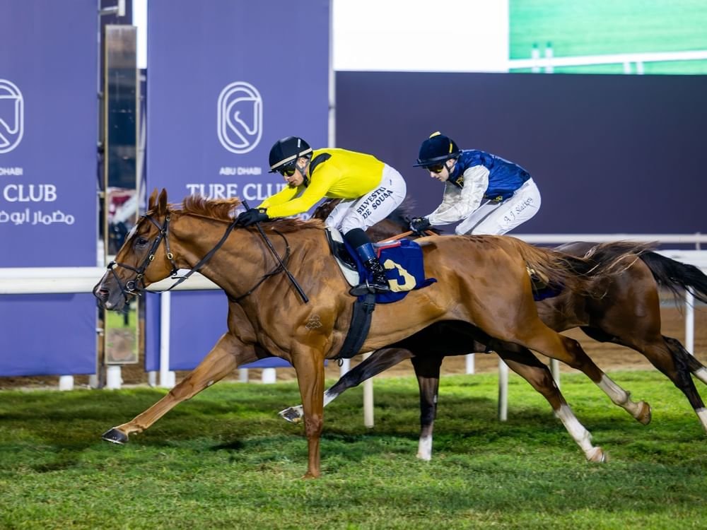"نخبة الخيول" تتنافس على لقب سباق كأس أبوظبي الذهبي غدا 1 "نخبة الخيول" تتنافس على لقب سباق كأس أبوظبي الذهبي غدا