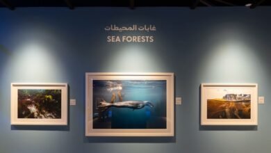 اكسبوجر 2026 - القمة البيئية.. جينيفر أدلر : الصورة أبلغ وسيلة لرواية العلم للأطفال 3 اكسبوجر 2026 - القمة البيئية.. جينيفر أدلر : الصورة أبلغ وسيلة لرواية العلم للأطفال