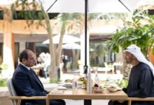 رئيس الدولة والرئيس المصري يبحثان علاقات البلدين والجهود المبذولة تجاه التطورات في المنطقة