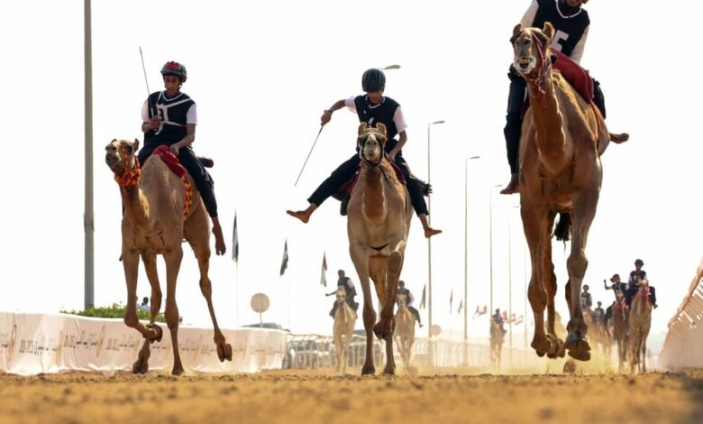 اتحاد الهجن يفتح باب التسجيل للمشاركة في سباق الماسترز "أبوظبي 2026" 3 اتحاد الهجن يفتح باب التسجيل للمشاركة في سباق الماسترز "أبوظبي 2026"