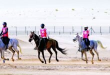 "سباق السيدات" للقدرة والتحمل ينطلق غدا بالوثبة