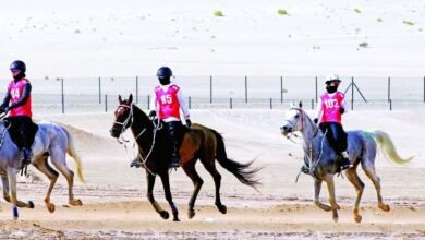 "سباق السيدات" للقدرة والتحمل ينطلق غدا بالوثبة