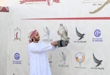 كأس رئيس الدولة للصيد بالصقور... 13عاماً من النجاح والتألق