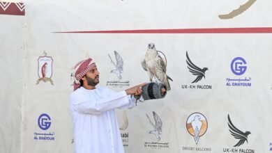 كأس رئيس الدولة للصيد بالصقور... 13عاماً من النجاح والتألق
