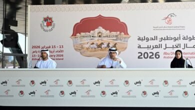 برعاية منصور بن زايد.. 369 خيلا من 11 دولة تتنافس في بطولة أبوظبي الدولية لجمال الخيل العربية