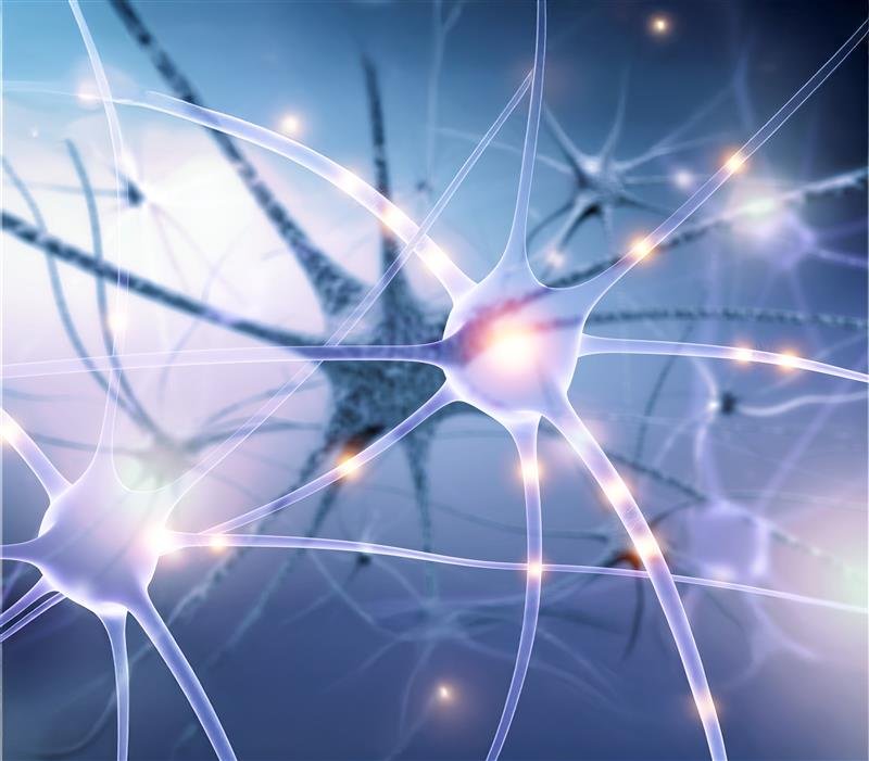 "صحة أبوظبي" و"الجمعية الوطنية للتصلب المتعدد" تصدران وثيقة إرشادات علاجية جديدة 1 صحة أبوظبي