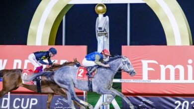 الجواد "هيت شو" يبحث عن مجد جديد في كأس دبي العالمي