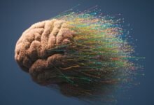 تقوية دماغك