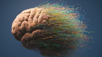 تقوية دماغك